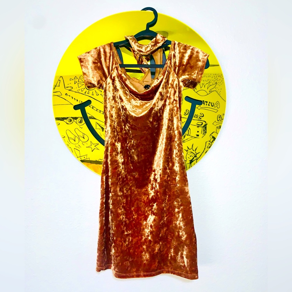 Medium velvet brown dress